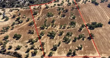 Plot of land in Kouklia, Cyprus