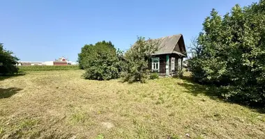 House in Kosina, Belarus
