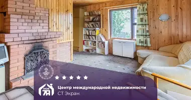 Дом в Ждановичский сельский Совет, Беларусь