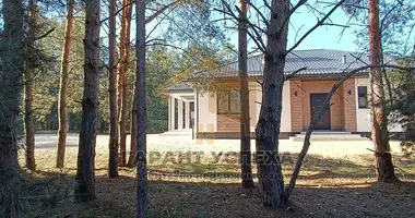 Dom w Muchaviecki sielski Saviet, Białoruś