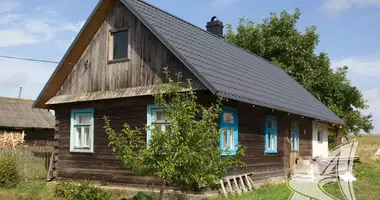 Dom w Vidamlianski sielski Saviet, Białoruś
