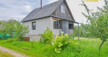 Дом в Озерицко-Слободской сельский Совет, Беларусь