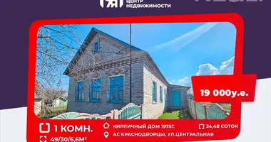 Dom w Krasnadvorcy, Białoruś