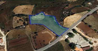 Grundstück in Kathikas, Cyprus