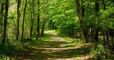 Grundstück in Warschau, Polen