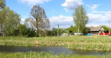 Haus in Dziescanski sielski Saviet, Belarus