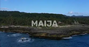 Terrain dans Samana, République Dominicaine