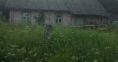Casa 1 habitación en Rakauski sielski Saviet, Bielorrusia