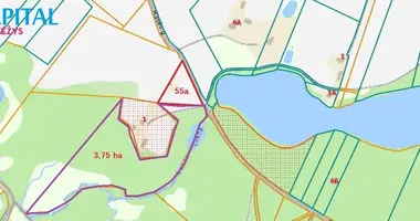 Plot of land in Spraksiai, Lithuania