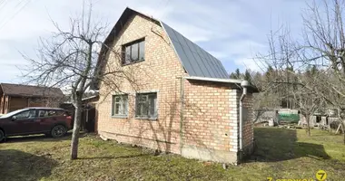 House in Nieharelski sielski Saviet, Belarus