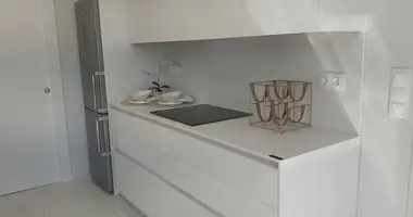 Penthouse 3 bedrooms with Balcony, with terrassa, with children_gardern in Benidorm, Spain