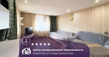 House in Barysaw, Belarus