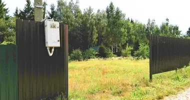 Parcela en Dziamidavicki sielski Saviet, Belarús