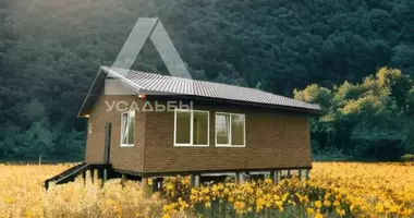3 room house in Davydovo, Russia