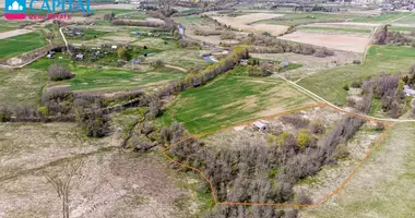 Plot of land in Musninkai, Lithuania