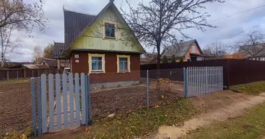 House in Nieharelski sielski Saviet, Belarus