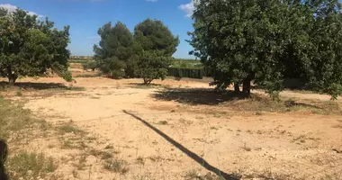 Plot of land in la Pobla de Vallbona, Spain
