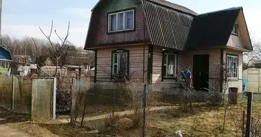 House in Zodzinski sielski Saviet, Belarus