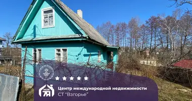 Haus in Alahnovicki selski Savet, Belarus
