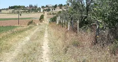 Grundstück in Trilofos, Griechenland