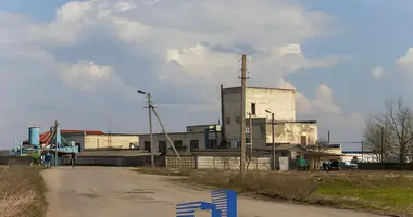 Fabrication 1 285 m² dans Zarecca, Bélarus