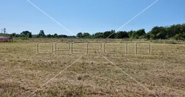 Plot of land in Marcana, Croatia