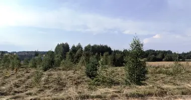 Działka w Putcynski sielski Saviet, Białoruś