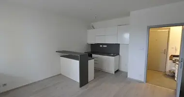 2 bedroom apartment in okres Brno-mesto, Czech Republic