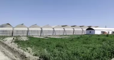 Участок земли в Самарканд, Узбекистан