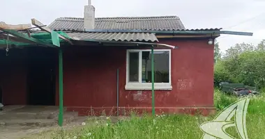 House in Lyscycki sielski Saviet, Belarus
