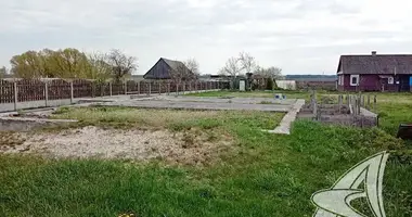 House in Znamienka, Belarus