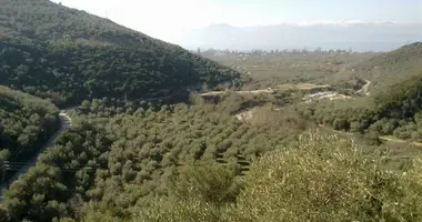 Terrain dans Koropi, Grèce