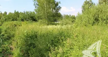 Grundstück in Znamienski sielski Saviet, Weißrussland