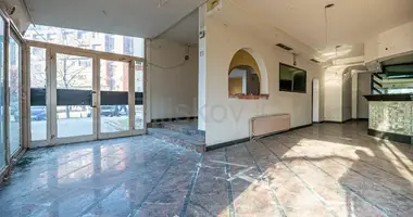 Tienda 170 m² en Zagreb, Croacia