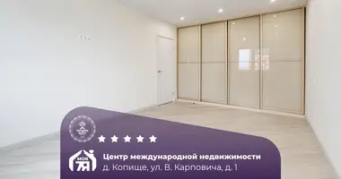 2 room apartment in Borovlyany, Belarus