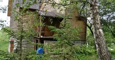 Dom w Wiazynka, Białoruś