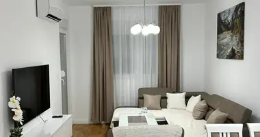 Apartamento 1 habitacion en Montenegro