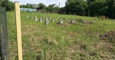 Plot of land in Paskauski sielski Saviet, Belarus