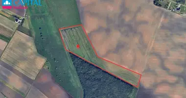 Plot of land in Kairiai, Lithuania