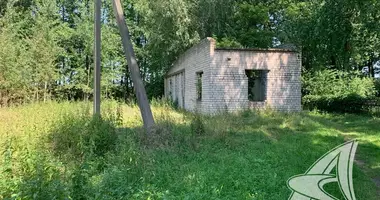 Commercial property 49 m² in Miedna, Belarus