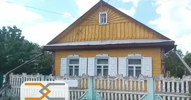 House in Sluck, Belarus