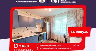 Wohnung 2 Zimmer in Zabalocki sielski Saviet, Weißrussland