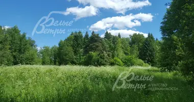 Grundstück in poselenie Pervomayskoe, Russland