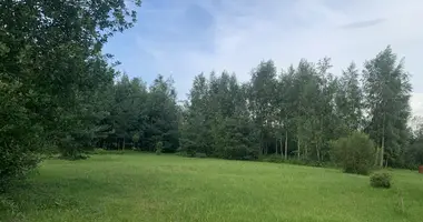Участок земли в Санкт-Петербург, Россия