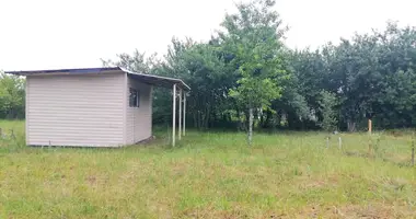 House in Dukorski sielski Saviet, Belarus