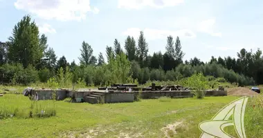 Maison dans Tel minski siel ski Saviet, Biélorussie