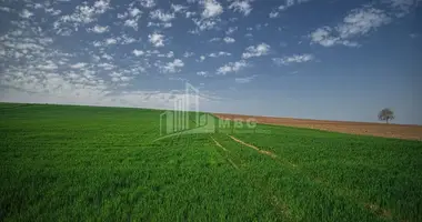 Plot of land in Georgia