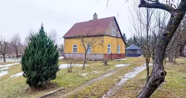 Haus in Birsen, Litauen