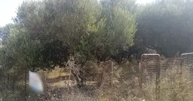Grundstück in Amoudara, Griechenland