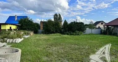 Plot of land in Muchaviecki sielski Saviet, Belarus